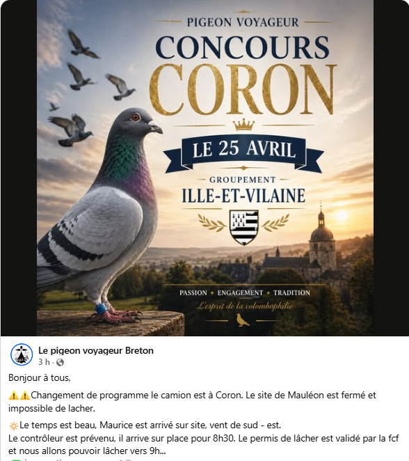Screenshot 2026-04-25 105038coco.png