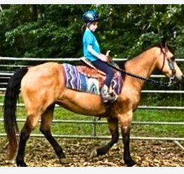 RIDING LESSON-JOSEY-1_edited.jpg