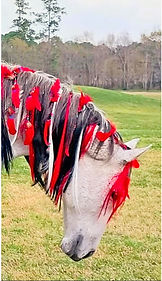 GHOST RED FEATHER HEAD SHOT.jpg