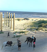 BOLIVAR BEACH HOUSE VIEW - Copy.jpg