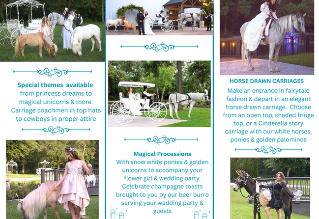 DO NOT DELETE CARRIAGE BROCHURE P. 2 8-30-25 A.png