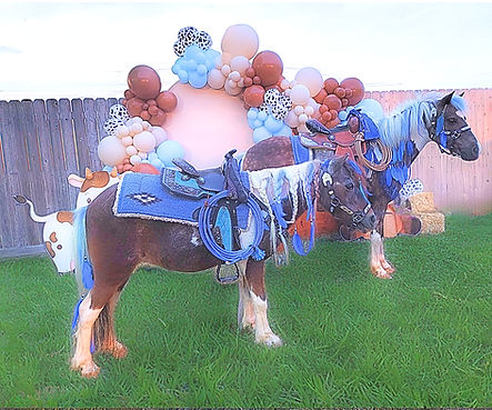 Crusier & Cookie cowboy blue_edited.jpg