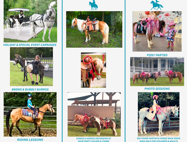 DO NOT DELETE PONY PARTY BROCHURE P. 2 8-29-25 E.png