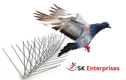 SK Pigeon Spikes And Birds Spikes