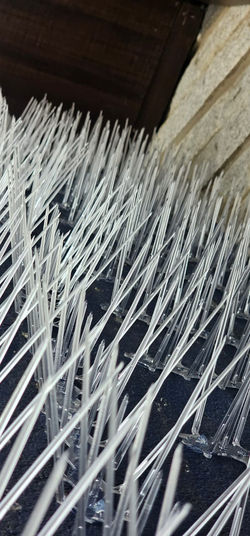 WhatsApp Image 2025-09-25 at 13.04.12_c8482024