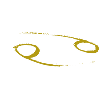 SIGNOS (1).png