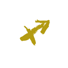 SIGNOS (2).png