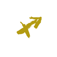 SIGNOS (2).png