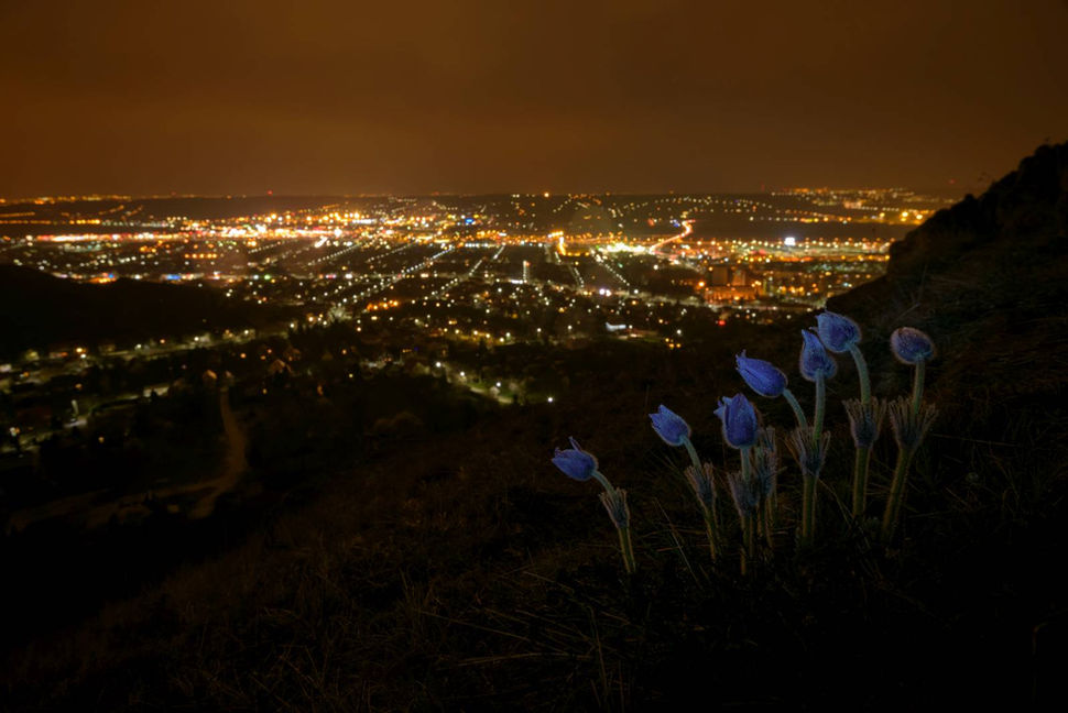 Embrace of the citylights