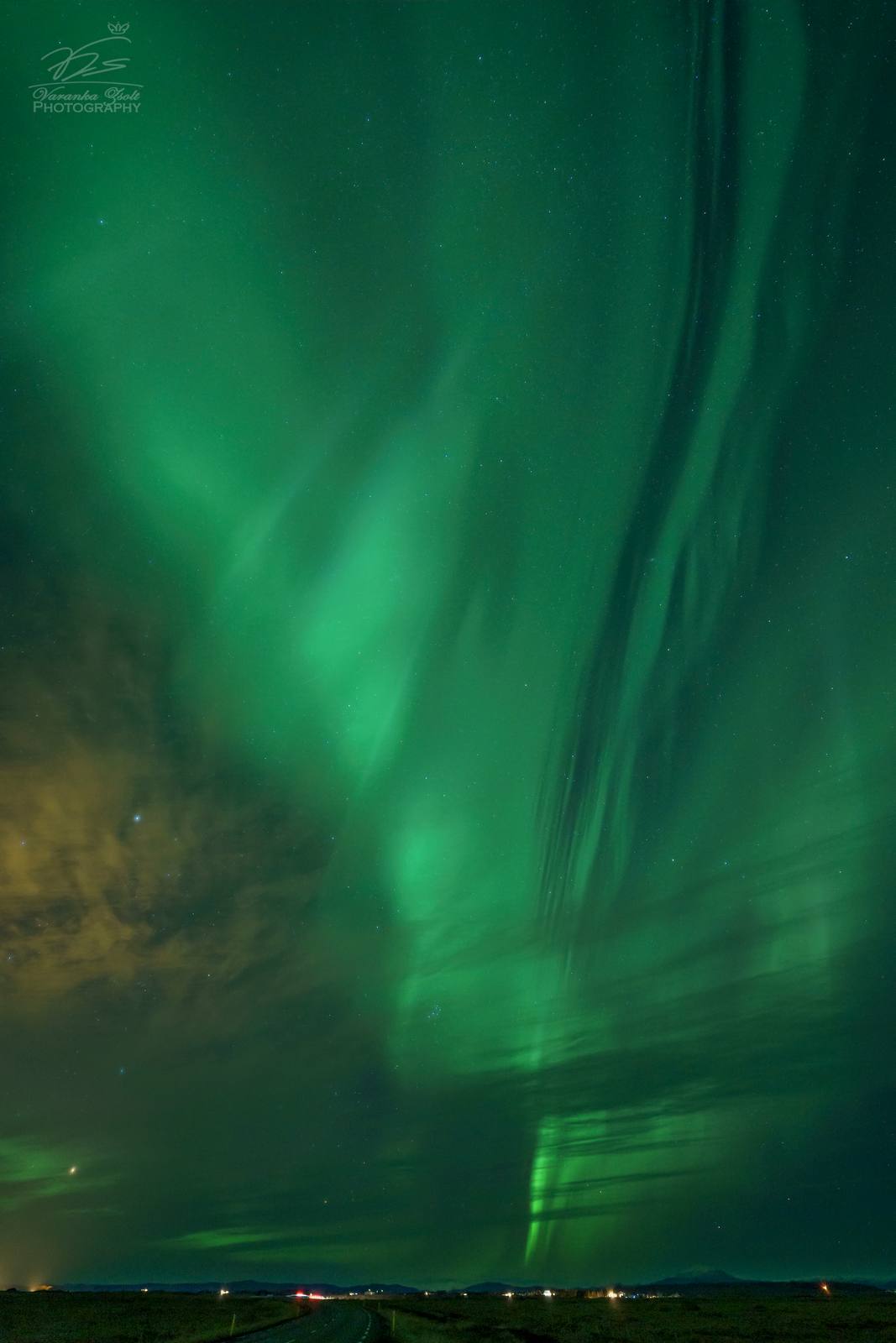 The green surprise.jpg