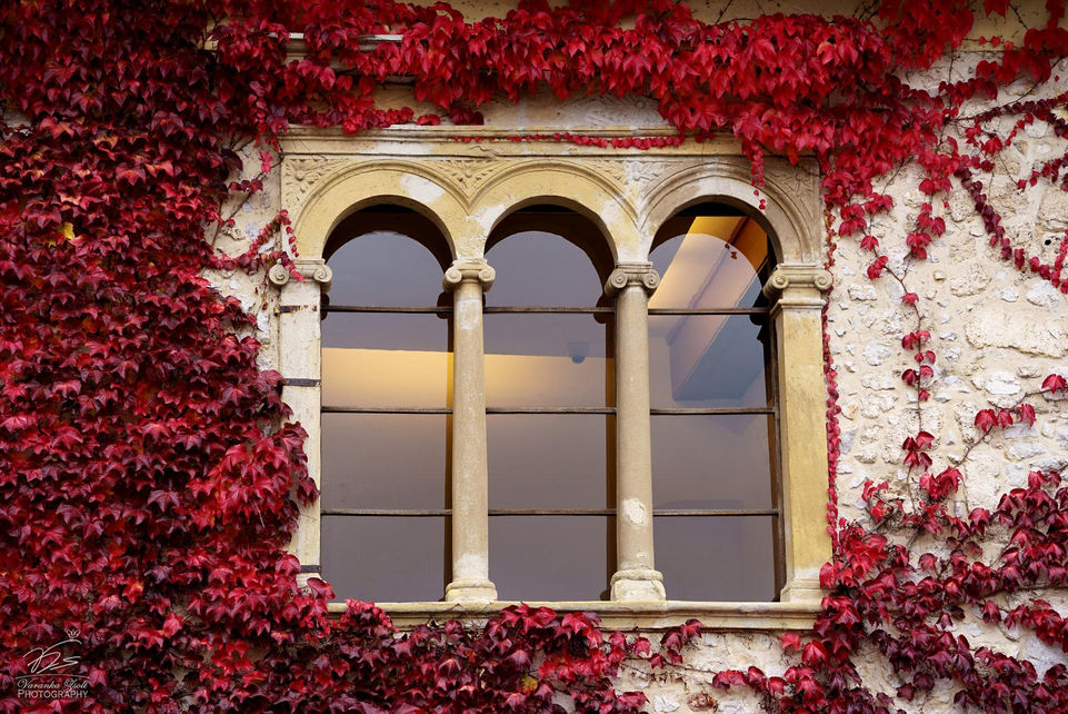 Framed with flaming red.jpg