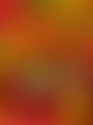 Chào mừng đến với Xuân mới - Mùa sắm đồ Tết đầy ắp ý nghĩa!