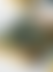 Lựa Chọn Khay Đựng Bánh Kẹo Tết Bằng Sứ Đẹp Và Phong Cách