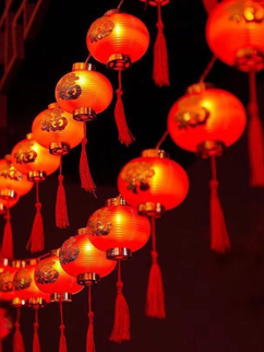 Hướng Dẫn Chọn Đèn Nháy Trang Trí Cây Ngoài Trời Đón Tết Thêm Lung Linh