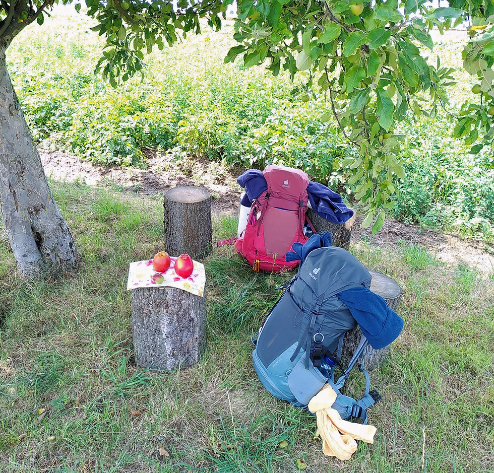 Fastenbrechen
