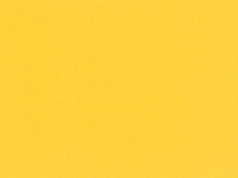 AUSTERNGELB