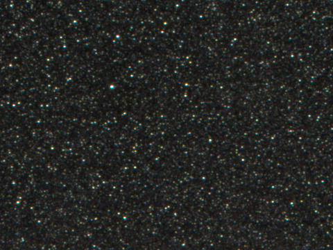 DARK GREEN M.