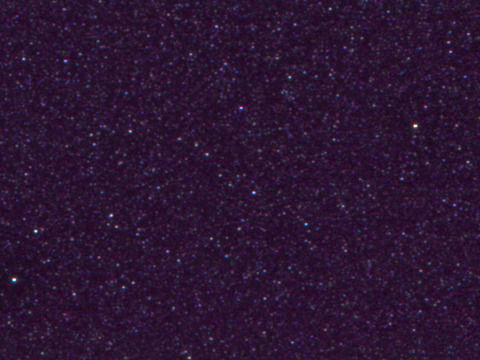DARK GRAPE M.