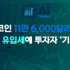 비트코인 11만6000달러 눈앞…ETF 유입세에 투자자 ‘기대감’