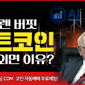 워렌 버핏, 비트코인 투자 외면한 이유…"산출물 없어"