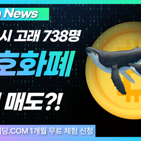 뉴욕증시 고래 738명 돌연 매도… 암호화폐 시장에 충격파