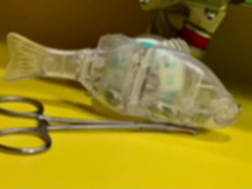 Alternative to Jackall Gantarel Jr. 6.1”