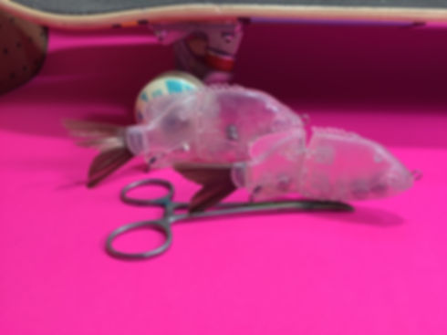 Alternative Glide Swimbait Tilapia 6" & 4.9” SS