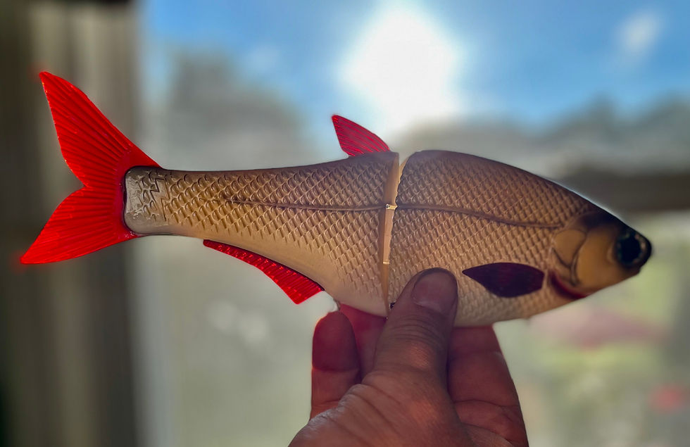 Thumbnail: HinKO Shad 9"