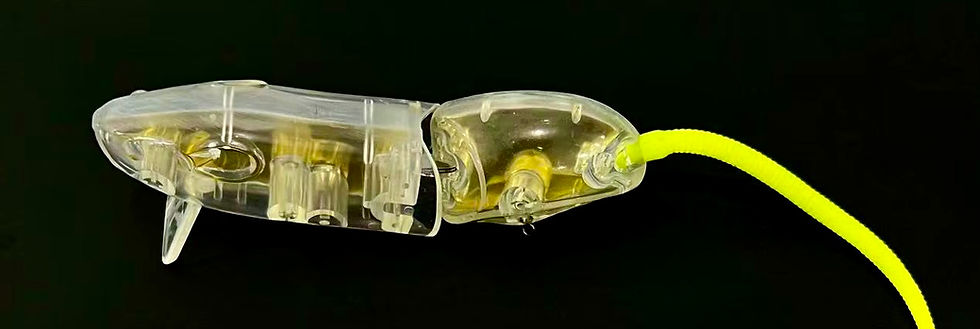 Thumbnail: Alternative Ever Green Combat RAT
