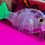 Thumbnail: SunWuGill
