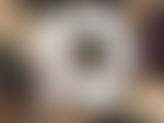 TSO-medewerkers De Catamaran Vreedzaam getraind