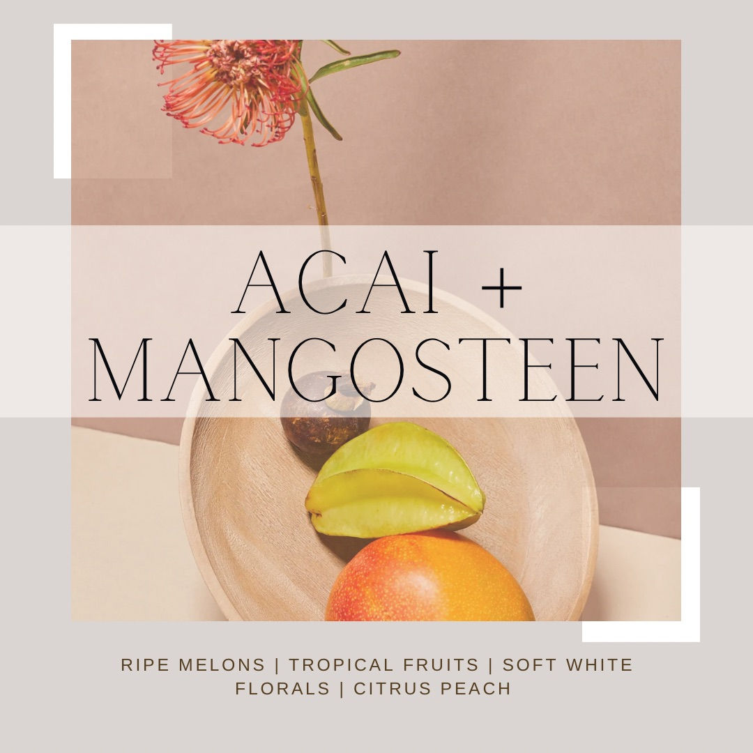 Acai + Mangosteen