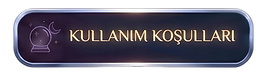 kullanım koşulları.png