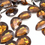 Miniatura: 3000c - Chaton Gota 13x18mm 25un. - pacote