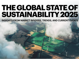 Surviving the tsunami of change: 10 Trends that will affect corporate sustainability & ESG strategies in 2025 and beyond.
