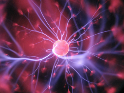 Trauma and Physical Activity: How Movement Can Support Brain Resilience