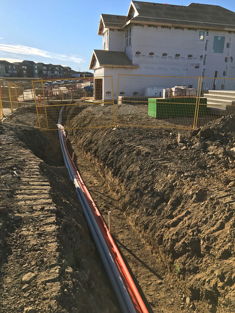 Image from iOS (8).jpg