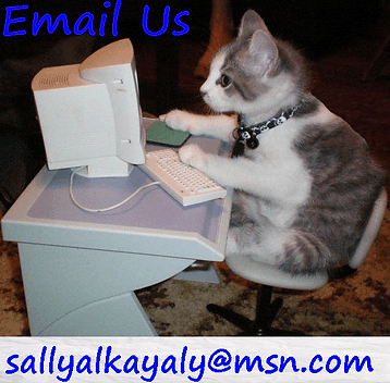 A picture of a cat at a computer