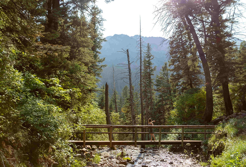 kk montanabridge.jpg