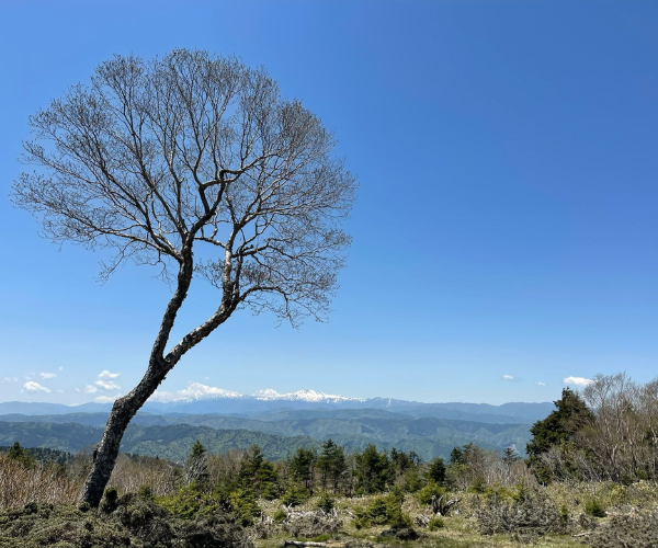 The summit of Mount Kurai.
