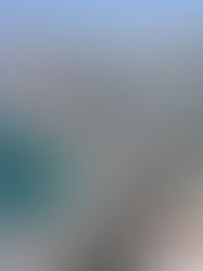 Chinese Investment in the Port of Piraeus