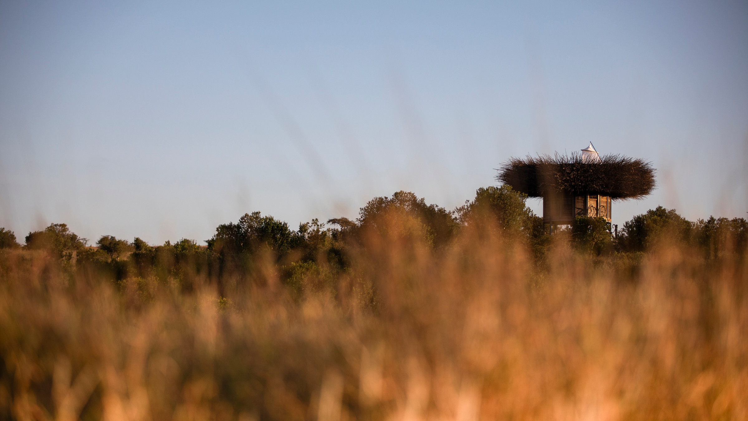 A game drive across the Segera Conservancy