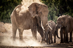 Segera-Retreat-VL-22-7529