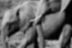 Segera-Retreat-VL-22-2563.jpg
