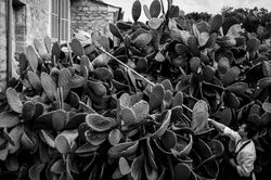 David Crookes | Mallorca