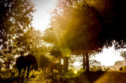 David Crookes | Zimbabwe