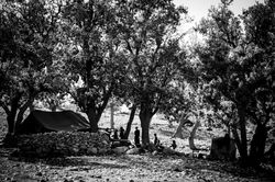 Iran-CrookesAndJackson-16-90-0303