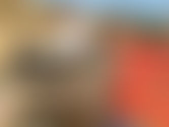Безвизовая Индия