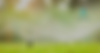 Design ohne Titel.png