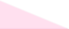 PINK TRIANGLE.png